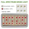 Panel Luz Led 3000w Greensindoor Temporizador 8h, 12h, 16h Y 20h - Imagen 2