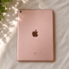 iPad 8ª Generación 32GB Rosado + Caja Original Impecable