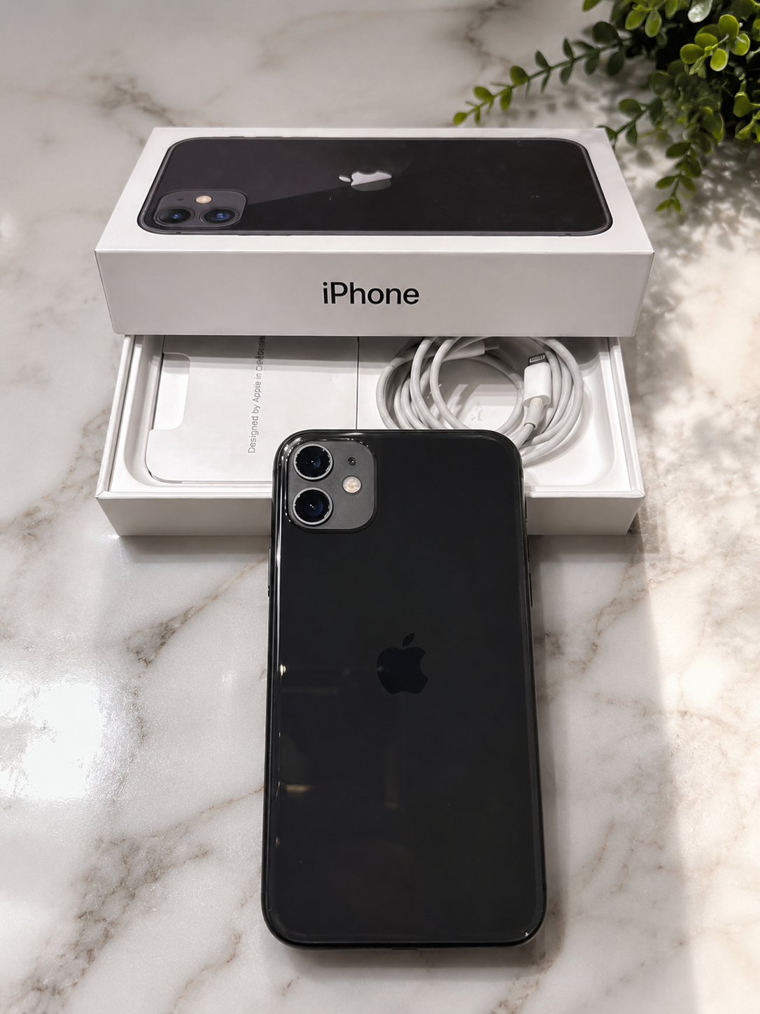 iPhone 11 64GB + Caja Original Impecable